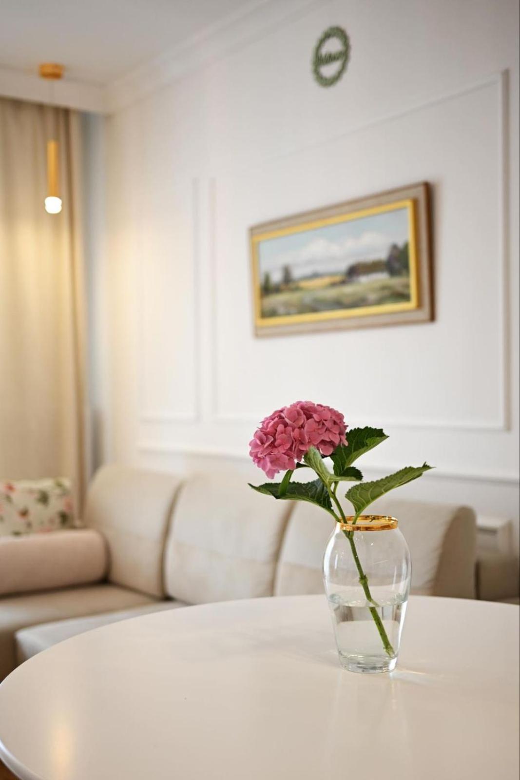 Mieszkanie Park Apartment *